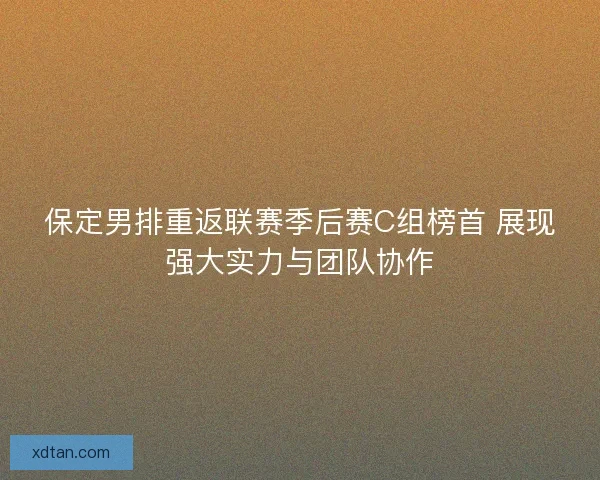 保定男排重返联赛季后赛C组榜首 展现强大实力与团队协作