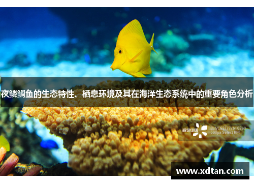 夜鳞鲷鱼的生态特性、栖息环境及其在海洋生态系统中的重要角色分析