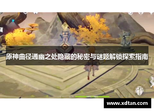 原神曲径通幽之处隐藏的秘密与谜题解锁探索指南