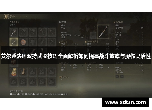 艾尔登法环双持武器技巧全面解析如何提高战斗效率与操作灵活性
