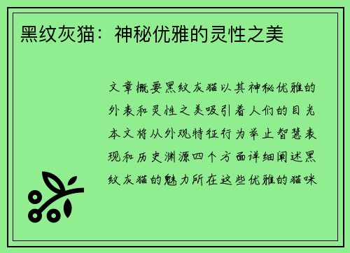 黑纹灰猫：神秘优雅的灵性之美